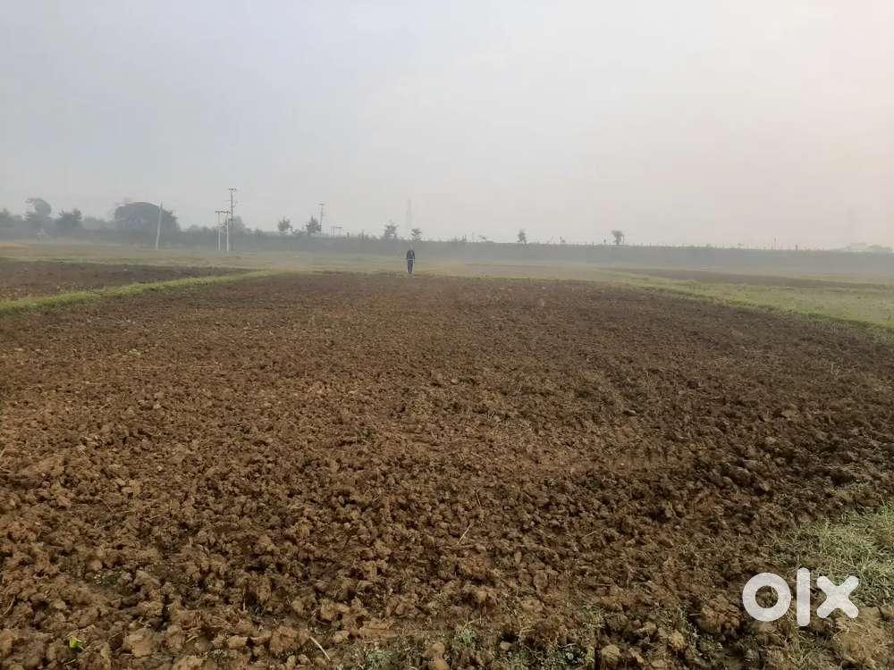 Land sell near Sarmera bihta four lane village Gopalbad Sarmera