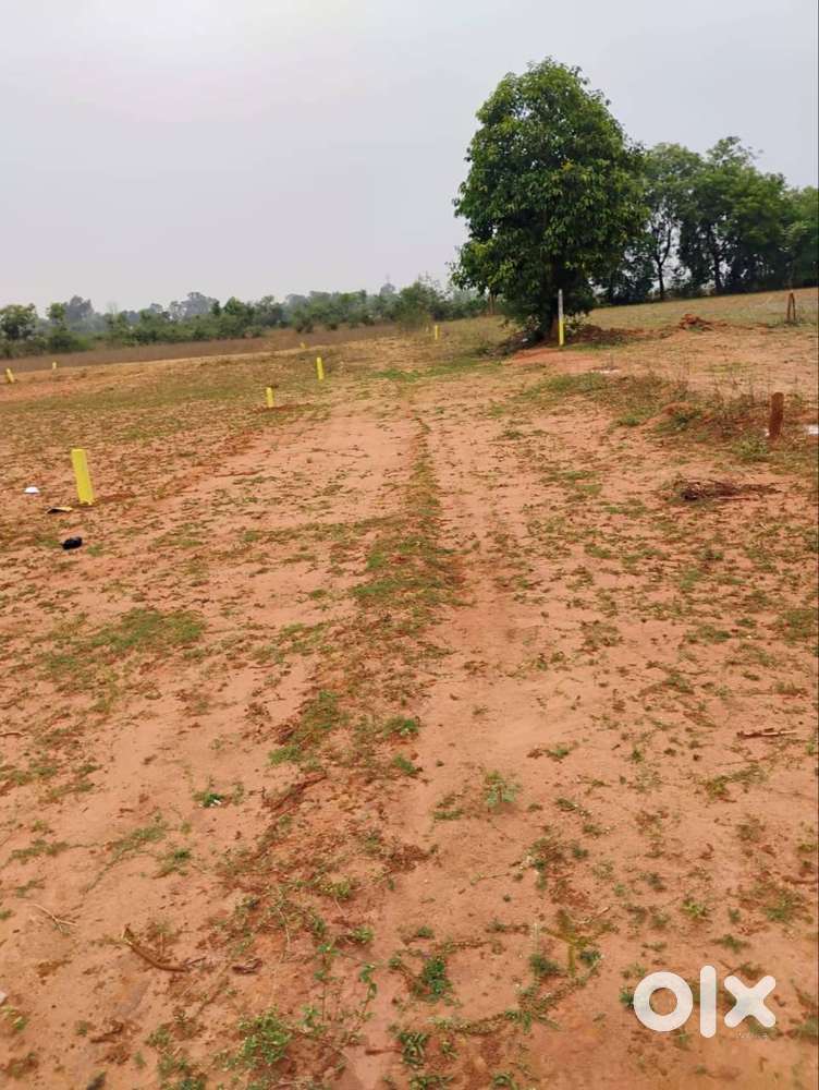 Multiple plots available