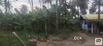Farmland with house for sale near Gopalapuram, Palakkad