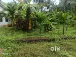 12 സെന്റ് housing പ്ലോട്ട് വില്പനയ്ക്ക്