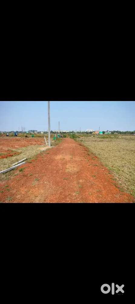 Plot for sale near Allms hospital back side Bhubaneswar