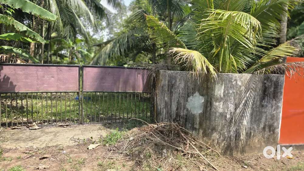 14 cent plot Cherthala St Michael's college Nh 1 km