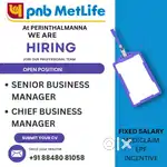 Senior business manager