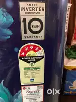 Refrigerator single door