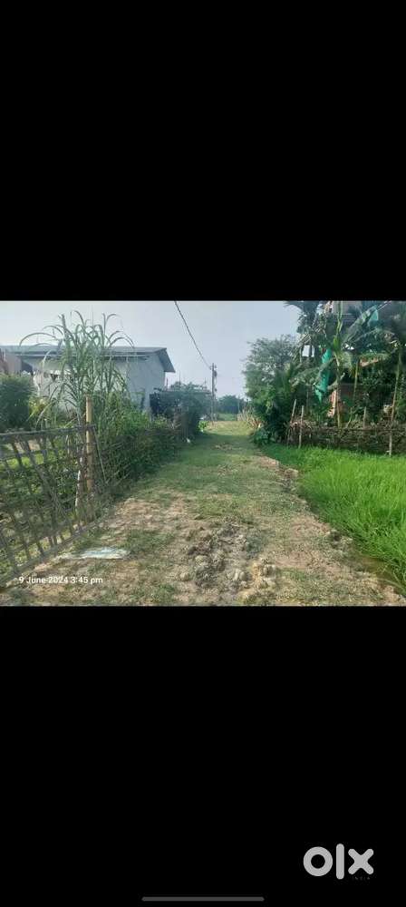 Land for sale,Gaurav nagar sivsagar, 1 km from  bypass