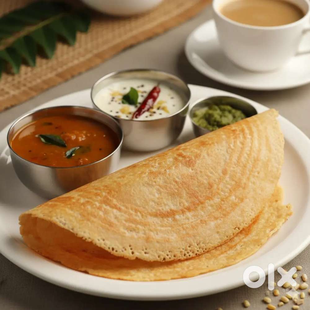Looking for an experienced **Dosa Cook** for my shop .