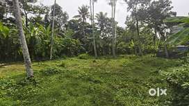 11 plot for sale in chathannoor