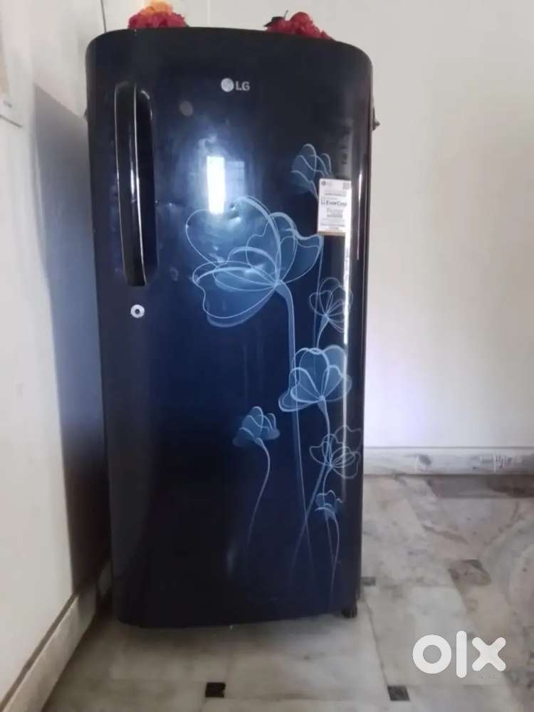 LG Company freeze without any problem of 180 liters