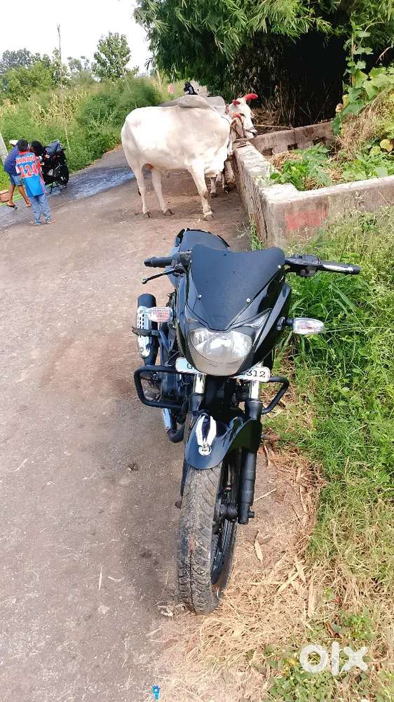 Nice pic send me pic