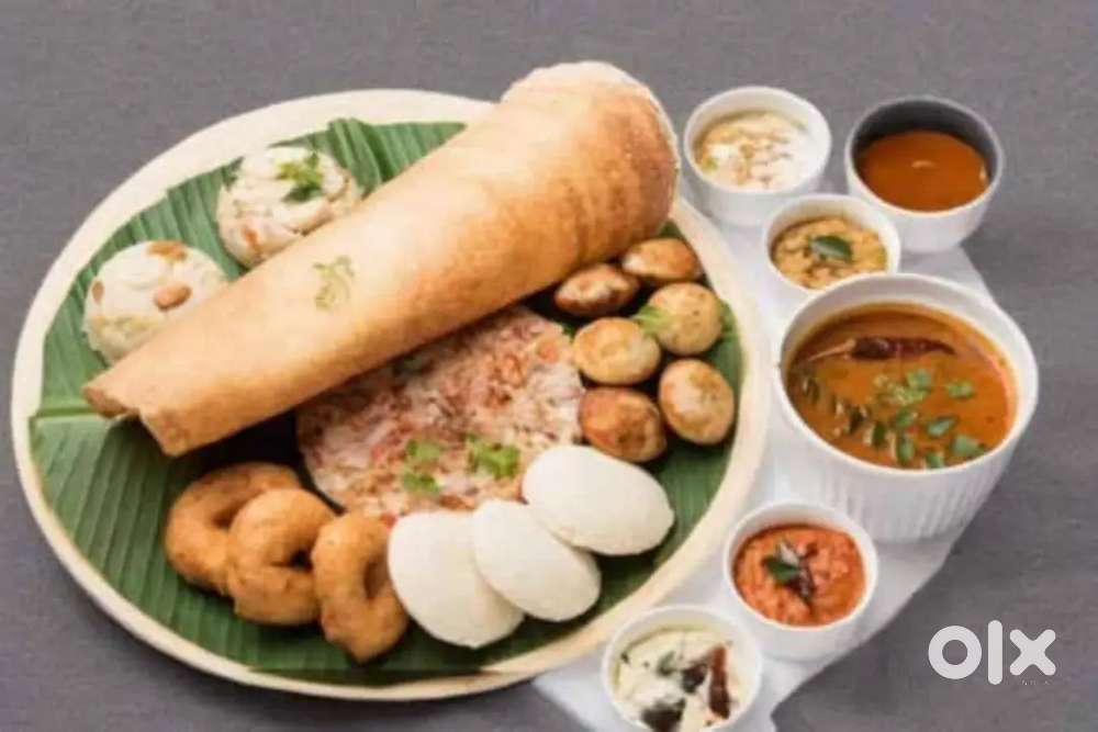 Urgent Need Dosa Mistri, Urgent Required South Indian Cook,