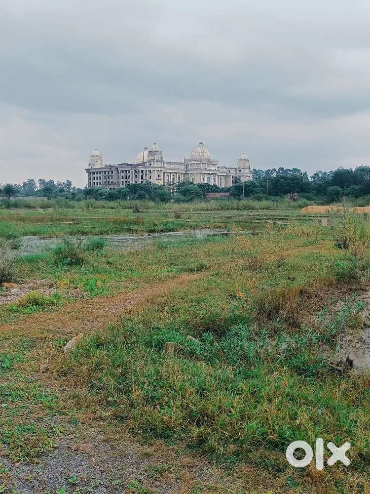 जोरा में ललित महल के पीछे प्लॉट 1500 sqft प्लॉट rs 1050/-