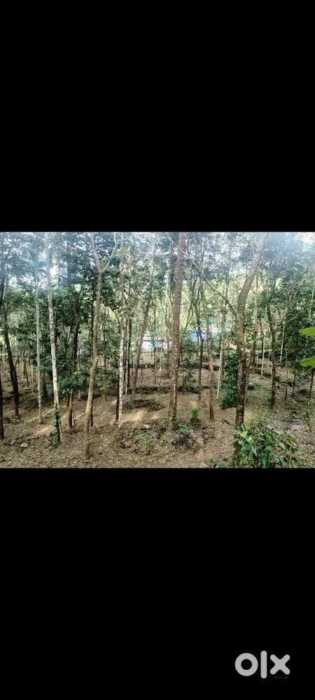90 cent Property For Sale near River Side In Panathady