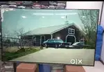 43 inch smart android frameless led tv 10999