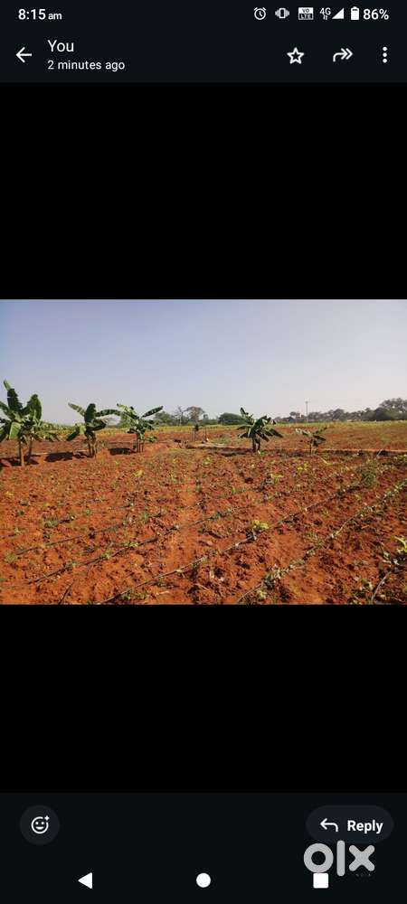 Agriculture land 3acre