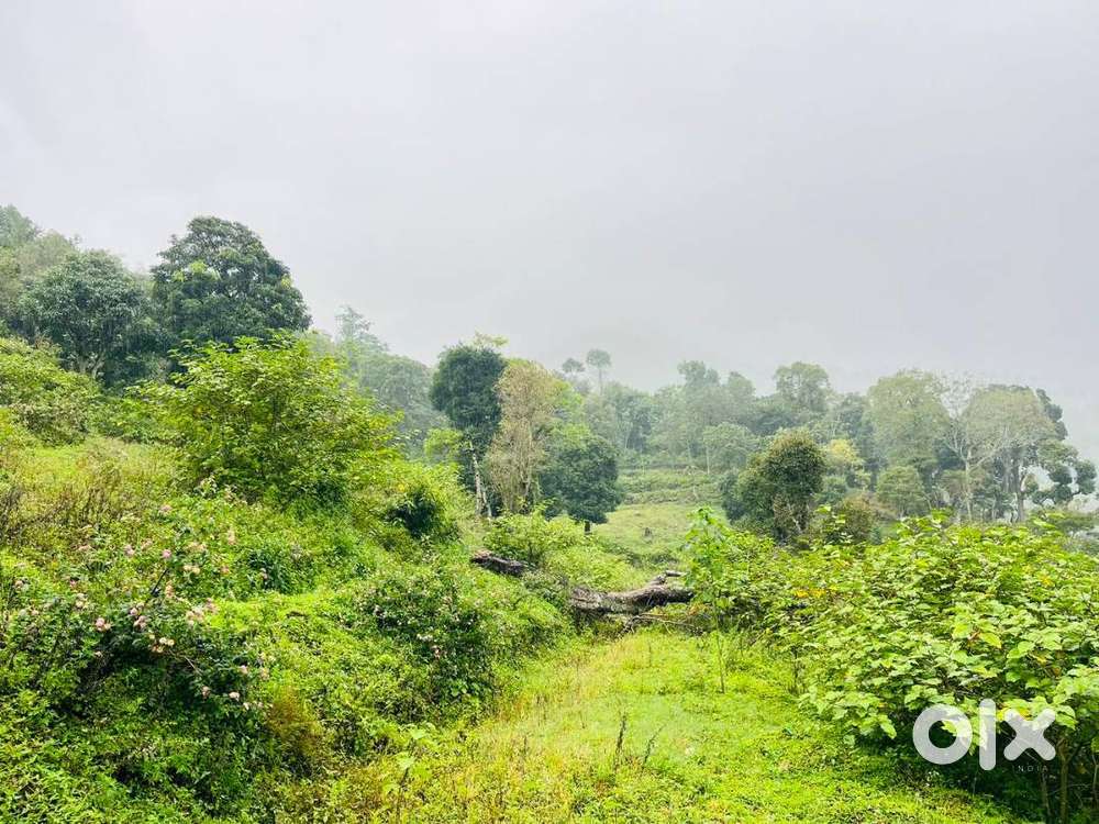 Farm land in kodaikanal pethuparai