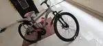 Bicycle Ranger only 3 month old