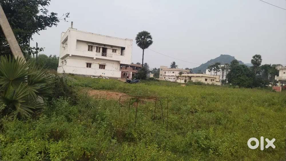 Residencial plot peda musidiwada, Lankelapalem
