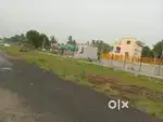Chengalpattu Nenmli teachers Colony near Residentia Premium land Sale