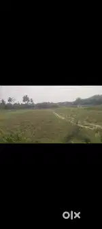 Agriculture lands tavanampalli 1.75 acres