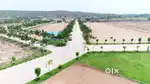 200 sq yards Open Plot for sale in Residential area with loan facility