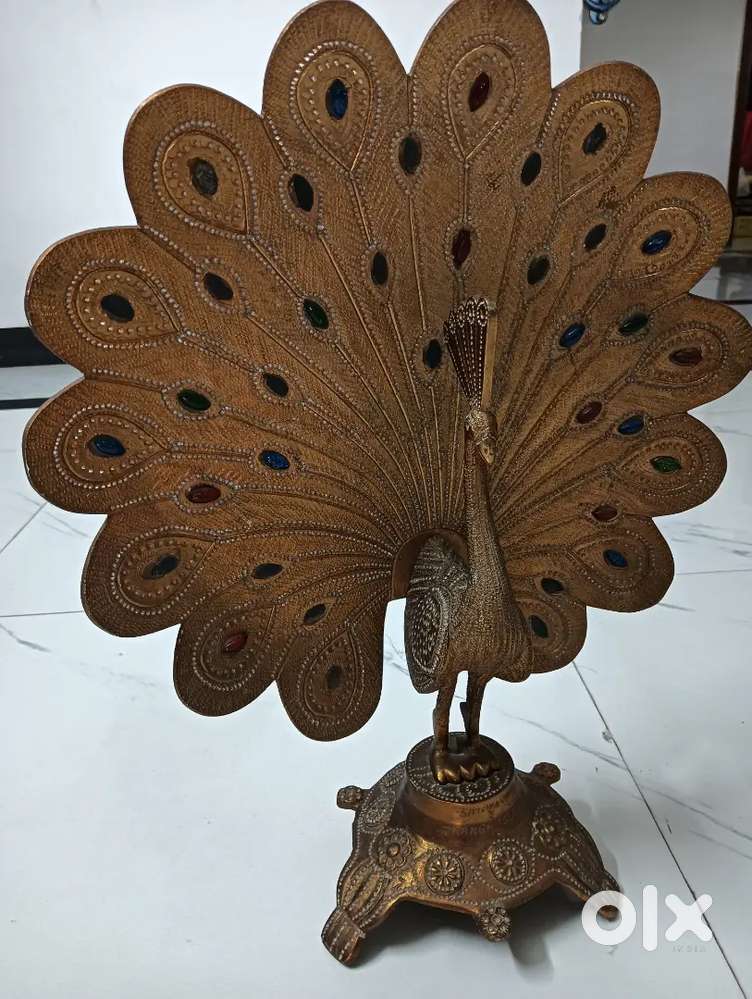 Peacock 50 years old