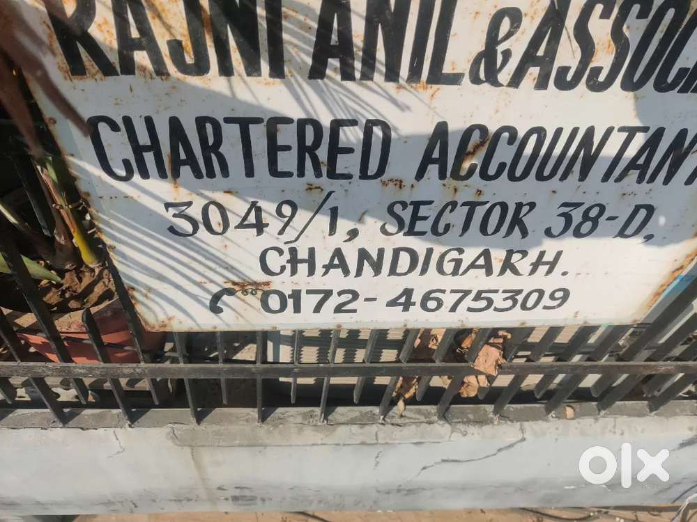 Needed fresh/experienced accountant