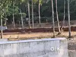 10.5 cent plot, near Bhartha puzha, Mayannur, 3km from ottapalam town.