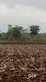 3 acer jamin bechna hai