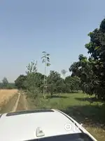 10 bigha land for sale on highway