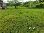 Site for sale in annapurna nagar at nidadavole