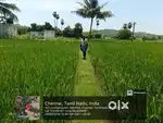 Prime land in nenmeli , Chengalpattu