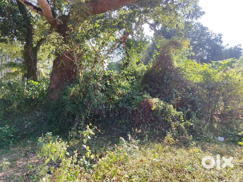 Gali Halli, ramanna kere down