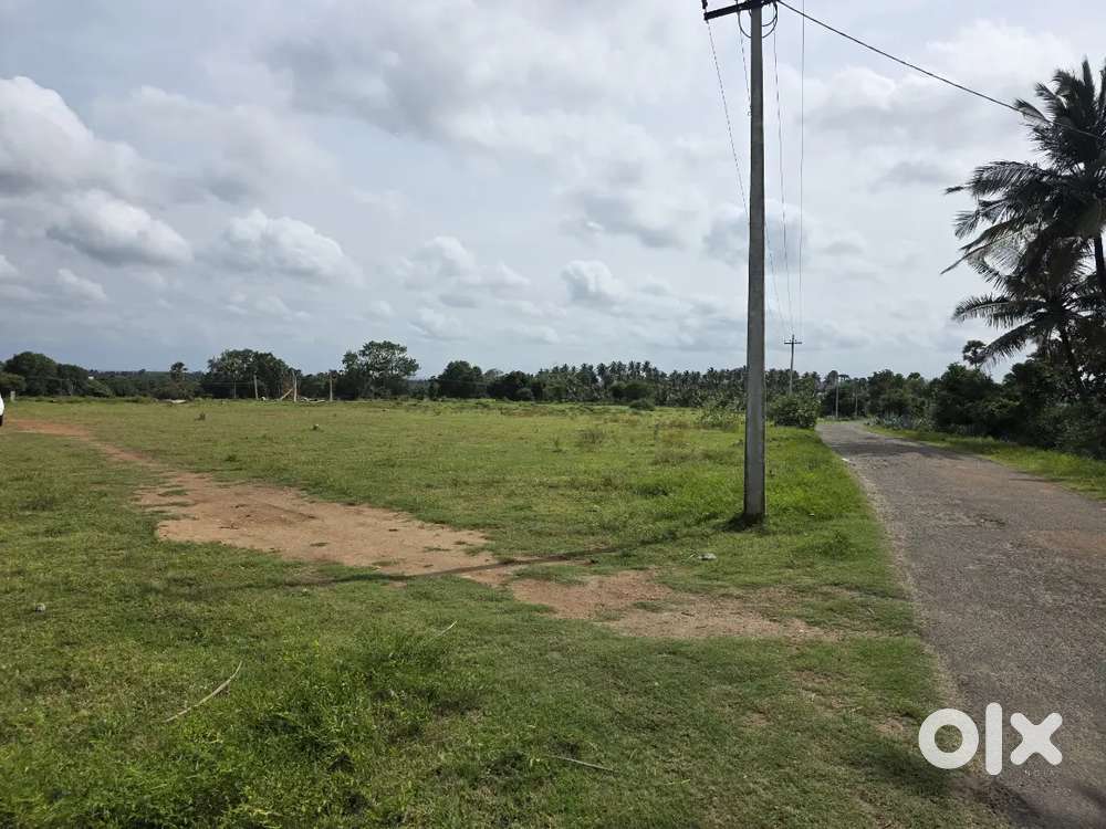 21 Cents Farm Land for Sale in KINATHUKADAVU