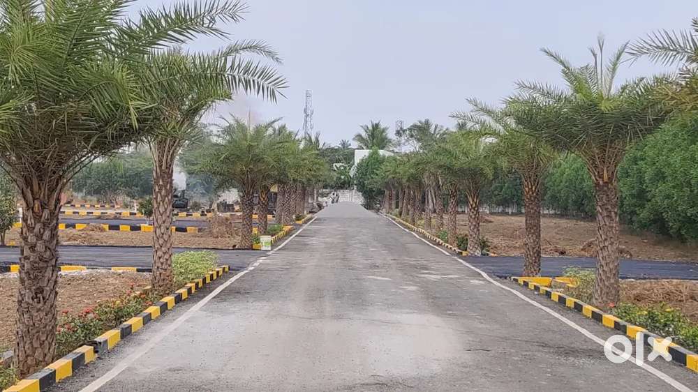 Budget Friendly Plots In Periyapalayam Main