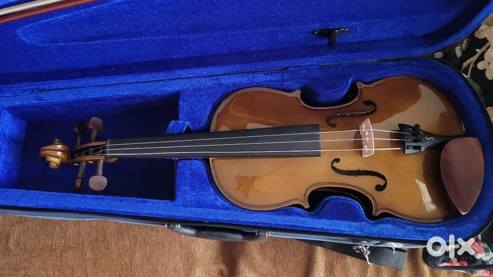 Stentor violin student