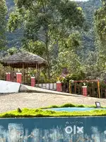 Need a cook for the resort at Kanthalloor