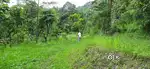 69 decimals tribal land for sale only for tribal casts