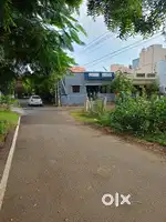 House fur rent park down