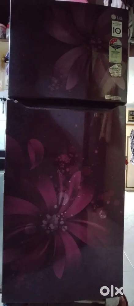LG 260 L Frost Free Double Door 3 Star Refrigerator