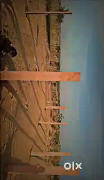 280 gaj sai colony mai     sai mandir ke paas.    Dungargarh