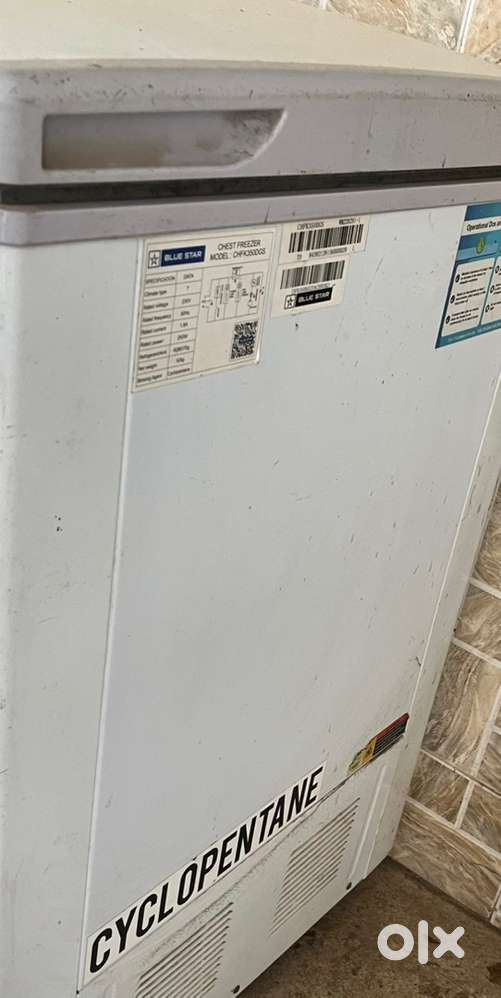 Deep freezer  blue star