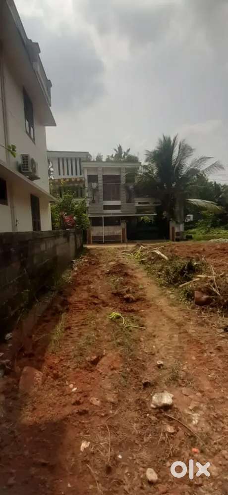 5.17 cents Residential Plot for sale Near Papanamcode