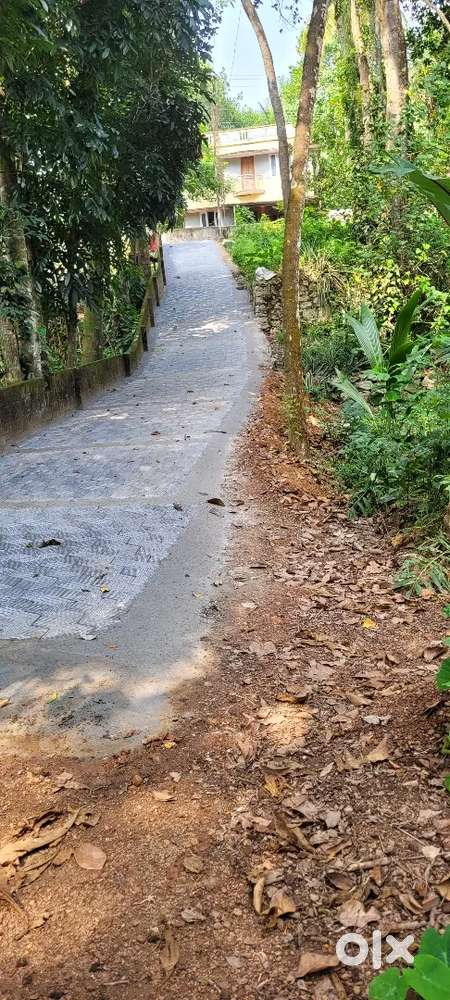 6,8 Cent Land for Sale near Aletty- Aruvippuram road.Puliyarakonam