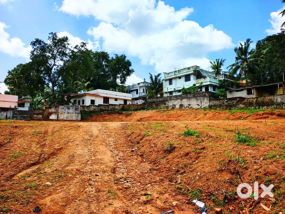 MAIN ROAD TRIVANDRUM Thirumala Pidaram