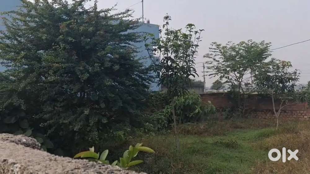 Bajaini Plot for sale - Bhagalpur District   Subdivision Jagdishpur