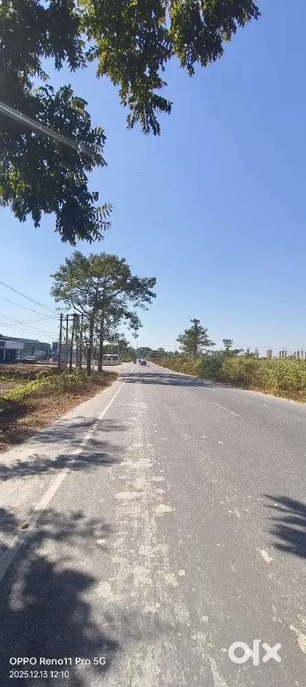 Road Side plot 5 Bigha