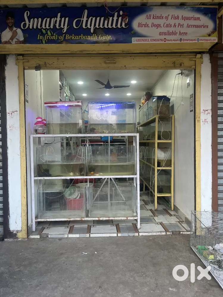 New Opening Aquarium Shop