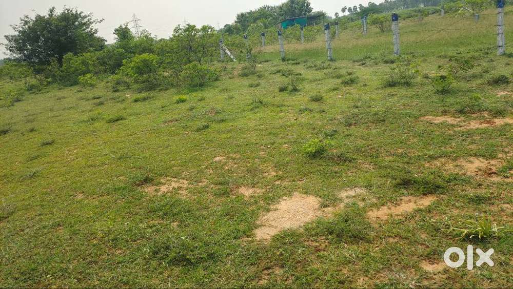 Plot in chattrapatti main road