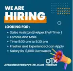Sales Assistant