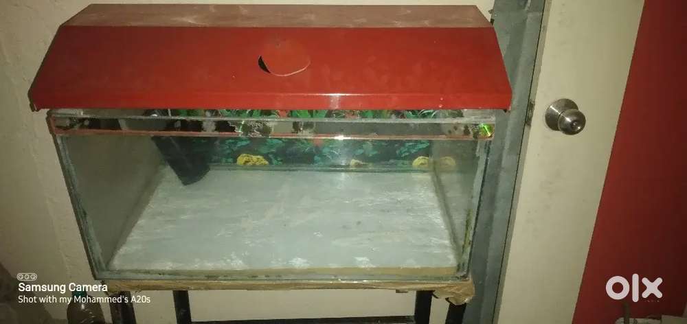 Aquarium for sale